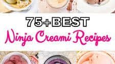 Ninja Creami Recipes