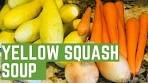 Yellow Squash Soup - Cooking with Janet Bari