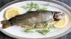 Grilled Trout With Dill and Lemon