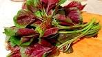 AMARANTH STIR FRY RECIPE | PURPLE AMARANTH ...