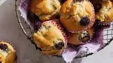Blackberry Muffins