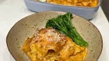 Chicken Alfredo Lasagne