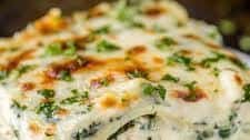 Chicken Lasagna Recipe