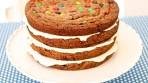 Chocolate Chip Cookie Cake - Gemma's Bigger Bolder ...