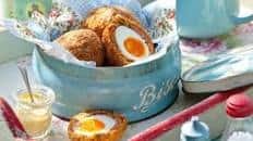 Chorizo Scotch eggs