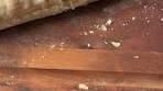 Ciabatta bread is a classic Italian loaf known for its crisp, flour ...