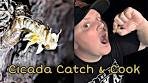 CICADA FRIED RICE: Brood X Catch and Cook (Try this ...