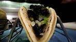 Cicada tacos, anyone?