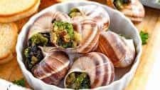 Classic Escargot Recipe from France