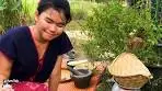 Cooking Thailand Local Food: Grilled Chicken with Honey ...