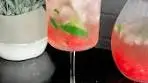 Dayna Ferraro | WATERMELON MINT SANGRIA *Best to ...