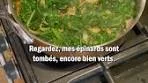 Découvrez la recette de la spanakopita avec François-Régis ...