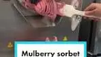 Delicious Homemade Mulberry Sorbet Recipe