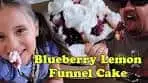Disneyland Blueberry Lemon Funnel Cake