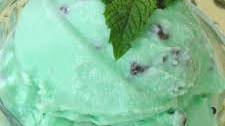 Easy Mint Chocolate Chip Ice Cream