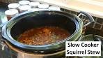 Easy Tender Slow Cooker Squirrel Stew