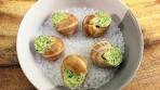 Escargots Snails In Garlic Butter - How To Cook Snails | All ...
