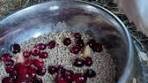 Frankie is enjoying some cranberries—they're a holiday ...
