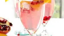Fruit Infused Vodka Sodas