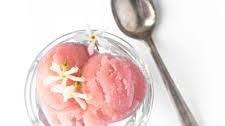 Guava Sorbet