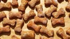 Homemade Dog Treats (Peanut Butter and Pumpkin)