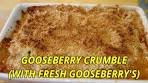 Homemade Gooseberry Crumble