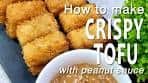 HOW TO MAKE CRISPY TOFU with PEANUT SAUCE | TOFU ...