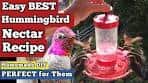 How to Make Hummingbird Nectar Recipe FOOD DIY ...