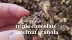 Irresistible Triple Chocolate Hazelnut Granola Recipe for ...