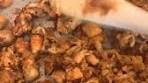 Jackfruit tacos for taco Tuesday!!! It’s so important to cook jack ...