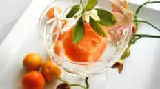 Kumquat and Calamansi Sorbet