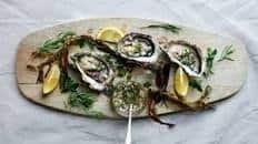 Oysters with herb dressing