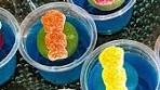 Pool Float Jello Shots Ingredients: 1 packet of berry blue jello ...