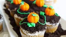 Pumpkin Patch Cupcakes