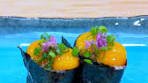 Quail Egg Gunkan🍣 | Quail Egg Gunkan ■ Ingredients -Quail ...