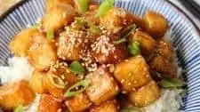 Quick & Easy Teriyaki Tofu