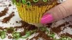 Rachel Lindsay | Tiny pumpkin patch cupcakes 🧡🧁 🎃 How ...