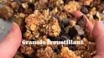 Recette Granola Croquant Maison au Chocolat et Noisettes
