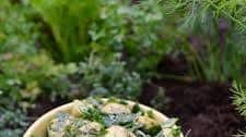 Recipe: Herb Garden Potatoes with Fresh Spinach & Lemon