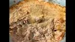 Roasted Red Pepper and Artichoke Dip