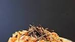 Spicy Shrimp and Mango Sushi Salad • 1/2 cup short grained ...