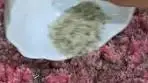 Spicy Stuffed Peppers | 🫑We love stuffed peppers! 🫑 The bell ...