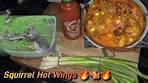 Squirrel Hot Wings