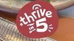 Thrive Market | Move aside, green bean casserole — these ...