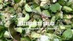 Watercress Salad with Apple, Cucumber, Almonds, and ...