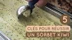 5 clés pour un sorbet kiwi réussi | • 5 CLÉS POUR UN ...