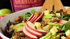 Apple Orchard Salad with Maple-Dijon Vinaigrette