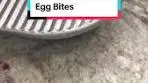 Bacon and Cheese Egg Bites 🥓🧀🥚 I keep these stocked in the ...