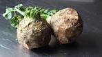 Celery Root Puree - How to Make Celeriac Puree