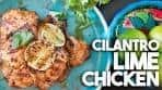 Cilantro Lime Grilled Chicken | Kravings